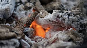 We did not find results for: How To Use Wood Ashes In The Home And Garden The Ultimate Guide