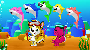 Baby shark babyshark sharkfamily mommyshark daddyshark baby. Free Download Lownleinhigh Dancing The Baby Shark By Lownleinhigh On 1024x576 For Your Desktop Mobile Tablet Explore 95 Baby Shark Pinkfong Wallpapers Baby Shark Pinkfong Wallpapers Shark Wallpaper Hd Shark Wallpaper
