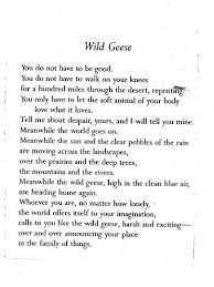 Mary Oliver S Wild Geese Love Love Love Words Quotes Inspirational Words Pretty Words