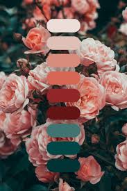 Color Palette Pink Roses Color Palette Design Color Schemes Color Schemes Colour Palettes