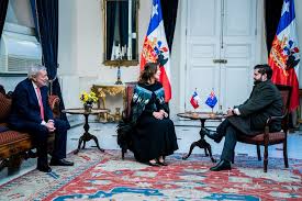 Image result for Oldenlandia verrucitesta