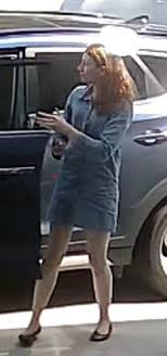 Police are renewing an appeal for... - NSW Police Force | Facebook