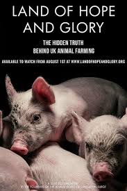 Bill, a young boy living on the outskirts of london experiences the exhilaration of world war ii. Land Of Hope And Glory 2017 The Movie Database Tmdb