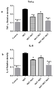 30 october at 20:00 in the league «netherlands eerste divisie» took. Prophylactic Antenatal N Acetyl Cysteine Administration Combined With Postnatal Administration Can Decrease Mortality And Injury Markers Associated With Necrotizing Enterocolitis In A Rat Model Abstract Europe Pmc