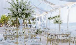 Take a bite out of our shark party supplies! A Match Made In Heaven A Wedding In Paradise Dwp