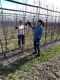 Bios marcflor srl cauta muncitor necalificat in agricultura in arad adresa locului de munca este: Locuri De Munca Italia Publicaciones Facebook