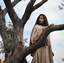 Wow Robert Powell S Portrayal Of Jesus Christ Beautiful Photo Jesus Images Jesus Movie