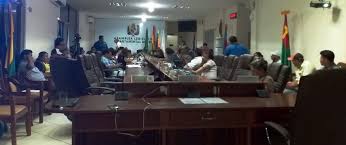 Alrededor de 12 millones de hectáreas deforestadas son promovidas por el  Plan de Uso de Suelo del Beni para uso agrícola y pecuario