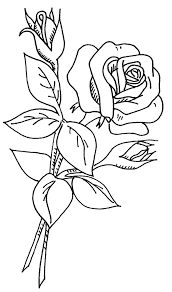 Wb Flowers 2 37 Flower Coloring Pages Coloring Pages Flower Drawing