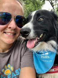 Switching tasks in free shaping: wait for reliability or train multiple  things simultaneously?