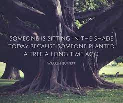 Ideapod On Twitter Someone Is Sitting In The Shade Today Because Someone Planted A Tree A Long Time Ago Warren Buffett Http T Co Ikv0ltgder Twitter
