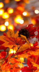 Siente Feel Texture Color Red Rojo Textura Feellings Sensaciones Sentimientos Autumn Lights Fall Wallpaper Fall Background