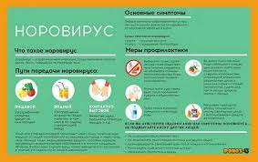 Новый взгляд на норовирус на официальном сайте газеты. Na Olimpiade V Yuzhnoj Koree Zaregistrirovali Vspyshku Norovirusnoj Infekcii