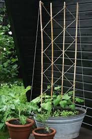 Rankgitter Selbstgemacht Gartenspaliere Rankgitter Diy Gartenprojekte