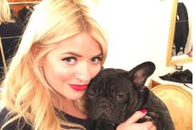 Celeb Instagrams to blame for influx of French bulldogs at rescue centres,  top vet says