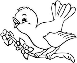 Check out these free printable coloring pages for adults! Different Birds Coloring Pages Coloring Home