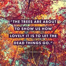 10 Quotes To Remind You Why Fall Is The Best Season Ever Autumn Quotes Nature Quotes Words
