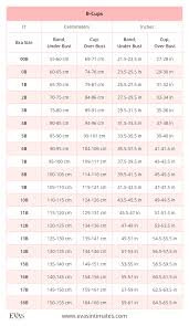 Italian It Bra Sizes In Centimeters And Inches