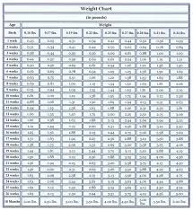 chihuahua weight chart carstens chihuahuas