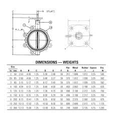 Butterfly Valves: Quality Lug & Wafer Types with Expert ...