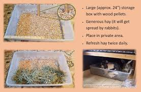 Jul 06, 2021 · 2017 educators conference abandonment abscess activism acupuncture adoptions aggression alternative medicine amoxicillin amy espie antibiotics babies behavior bonding breeding bunny care basics cancer cecotropes chapters chewing children cruelty culture diarrhea diet dogs e. Indoor Rabbit Bedding Www Macj Com Br