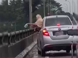 2974 ziyaretçi jabatan pengangkutan jalan (jpj) ziyaretçisinden 220 fotoğraf ve 26 tavsiye gör. Buang Sampah Jpj Kelantan Ambil Tindakan Pemilik Kenderaan