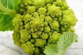 We may earn money or products from the companies mentioned in this post through our if you think cauliflower or any other food has made your rabbit sick, get in touch with your vet right away. Can Rabbits Eat Cauliflower Plus Leaves And Stalks Pet Care Advisors