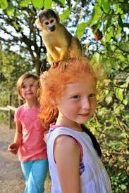 Maybe you would like to learn more about one of these? Halloween Im Affen Und Vogelpark Oberberg Aktuell