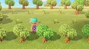 14 Animal Crossing New Horizons Tips Tricks And Hacks Grow Animals Animal Crossing Animal Crossing Wild World