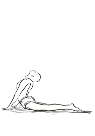 Vishnudevananda Cobra Pose Bhujangasana Yoga Drawing Drawings Yoga Art