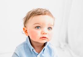 Thistle and Blue Photography