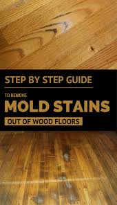 Step By Step Guide To Remove Mold Stains Out Of Wood Floors Remove Mold Stains Mold Remover Flooring