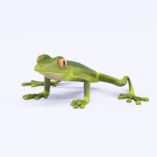Green Frog 3d Model Animals Green Frog Frog
