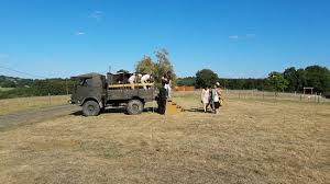 La ferme aux buffles est une nouvelle ferme auberge qui ouvrira ses portes le 09 juillet 2016. Promenade En Petit Camion A La Rencontre Des Buffles Et Visite De La Petite Ferme Pour Nourrir L Picture Of La Ferme Aux Buffles Aignan Tripadvisor