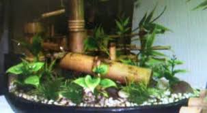 Maybe you would like to learn more about one of these? Miniatur Air Mancur Bambu Laris Manis Via Internet Okezone News
