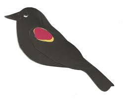 Eurasian blackbird), equivalent to black +‎ bird. Junior Ranger Jr Explores Blackbirds U S National Park Service