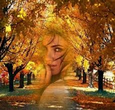 лариса рубальская стихи сегодня осень в дверь мне позвонила Sign In Fall Pictures Art Photography Artwork