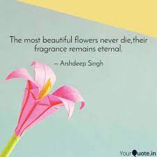 Maybe you would like to learn more about one of these? The Most Beautiful Flower Quotes Writings By Arshdeep Singh Yourquote