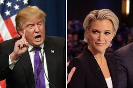 Résultat de recherche d'images pour "megyn kelly implants"