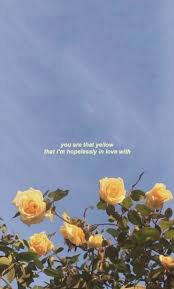 Pin By Secret Location On Quotes In 2020 Sunflower Wallpaper Aesthetic Wallpapers Wallpapers Vintage