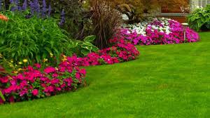 Modern flower garden | moderni. Contemporary Garden Design For Modern Lifestyle The Guardian Nigeria News Nigeria And World Newssaturday Magazine The Guardian Nigeria News Nigeria And World News