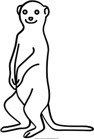 Do share your views on these beautiful scenes of meerkat pictures to print in the comment section below! Download Meerkat Coloring Page Meerkat Line Drawing Png Image With No Background Pngkey Com
