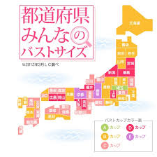 Gifu Kyoto Rack Up Highest Averages In Japanese Boob Size