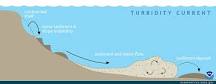 Image result for what are turbidites? course hero