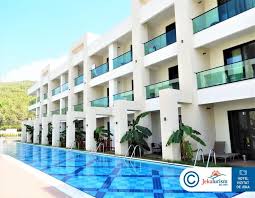 Mentioneaza trasaturile, caracteristicile, comportamentul sau specific, mediul sau de viata, culoarea, cu ce este. Cat Inseamna 20 De Euro