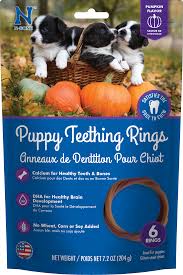 Made just for teething puppies, its gentle nubs promote clean teeth and control plaque and tartar buildup. N Bone Puppy Teething Rings Pumpkin Npicpet