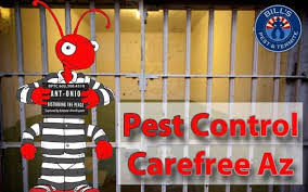 Preventive pest control says you need to check your home for termites and rats. Pest Control Carefree Az Carefree Pest Control Service Exterminator