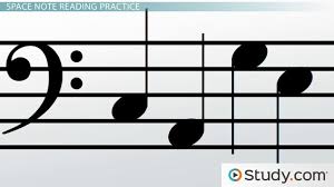The vertical lines separating the notes are called bar lines. How To Read Notes Of The Bass Clef Staff Video Lesson Transcript Study Com
