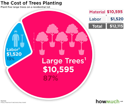 The cost of tree removal comes down to factors you can not control, such as the tree size and the position of the tree, but there are plenty tree removal can be expansive. How Much Does It Cost To Plant A Tree