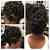 African American Flat Twist Updo Hairstyles